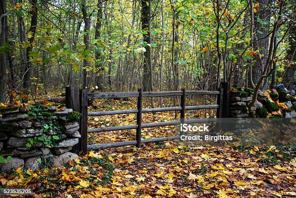 Old Wooden Gate At Autumn Stock Photo - Download Image Now - Accessibility, Autumn, Beauty In Nature