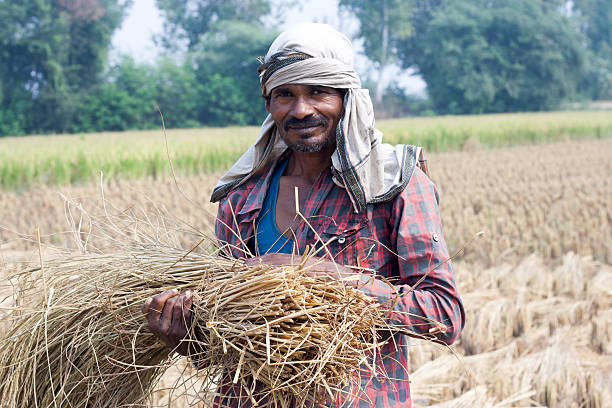 istock Farmer in the Field 523535279