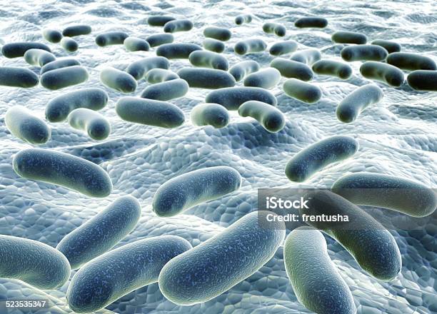 Bacteria Stock Photo - Download Image Now - Bacterium, Biological Cell, Biology