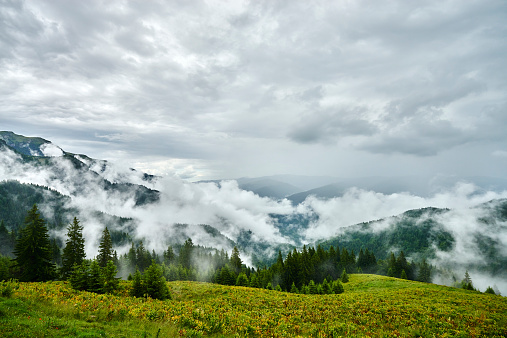 cloudy autumn day on mountain.