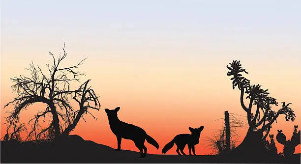 Vector illustration of Coyotes
