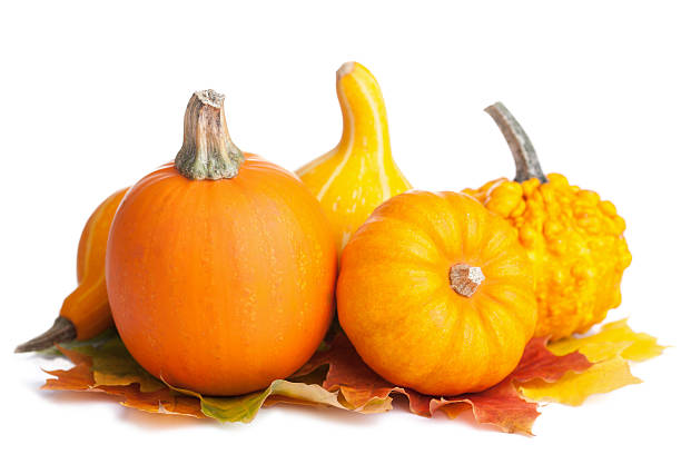 istock decorative pumpkins and autumn leaves isolated 523539311
