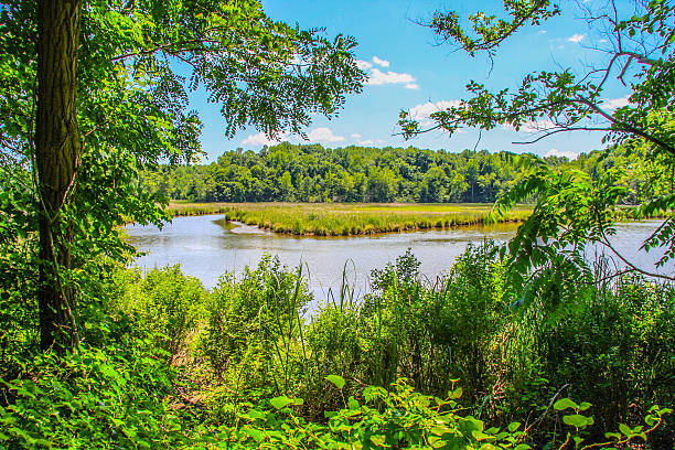 View of Parker's Creek in Calvert County Maryland stock photo