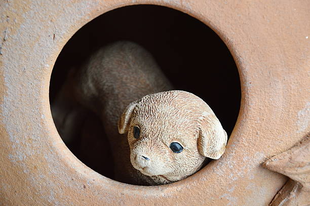 dog in the pottery  hole