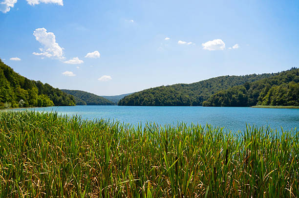 istock National Park Plitvice Lakes, Croatia 523539793
