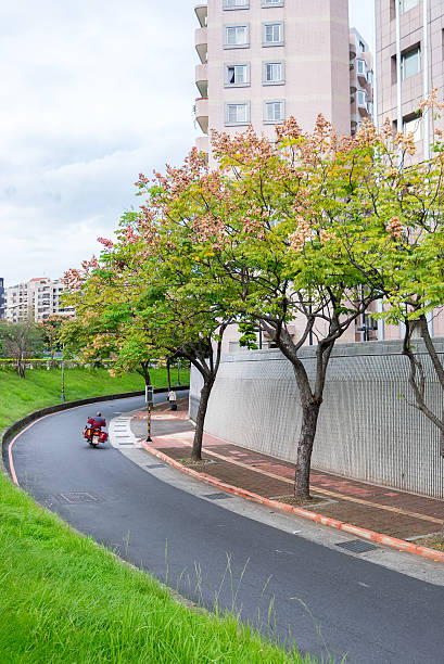 istock taipei city street 523540619