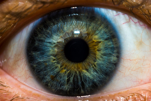Extreme close-up of woman's brown eye.