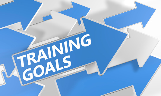 Training Goals 3d render concept with blue and white arrows flying over a white background.