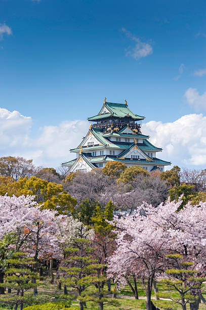 Osaka Castle With Sakura Blossom In Osaka Japan Stock Photo