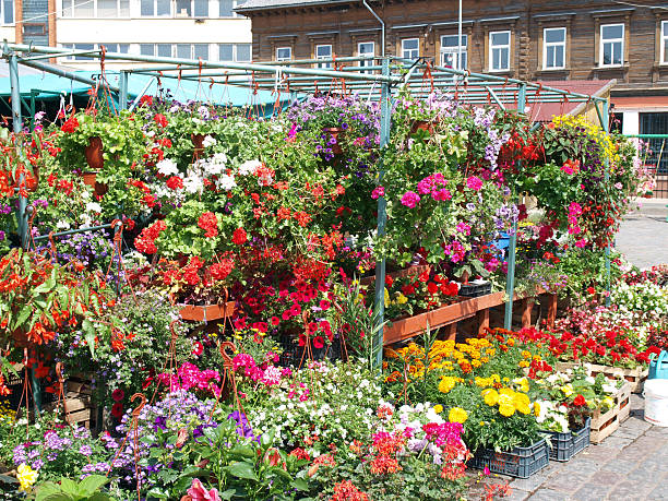 istock Flower market 523562935