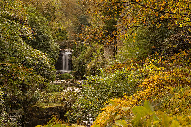 Jesmond Dene waterfall in autumn Jesmond Dene is a deep post-glacial valley providing a quiet haven just one mile from Newcastle Upon Tyne city centre jesmond stock pictures, royalty-free photos & images