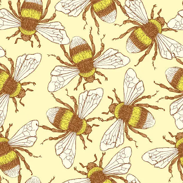 Vector illustration of Sketch bumble bee in vintage style