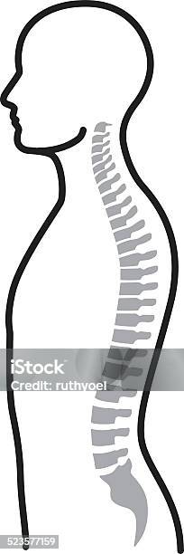 Spine Stock Illustration - Download Image Now - Spine - Body Part, Side View, Human Spine