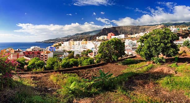 istock Santa Cruz de La Palma 523577739