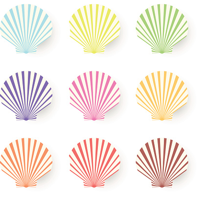 Beautiful pastel sea shell set. Vector cartoon Illustration