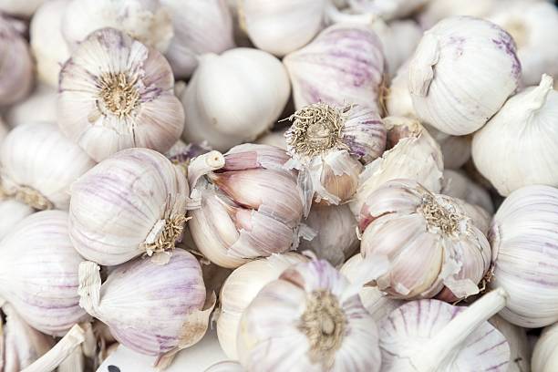 istock Garlic for sale 523580645
