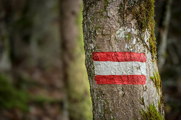 áustria bandeira placa em uma árvore - mountain austria street footpath - fotografias e filmes do acervo