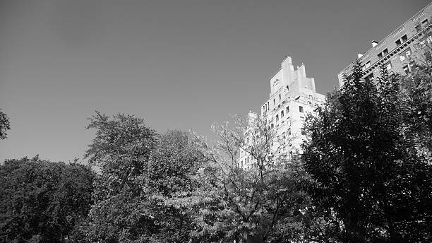 istock NYC trees and skyscrapers ~ B&W 523581613