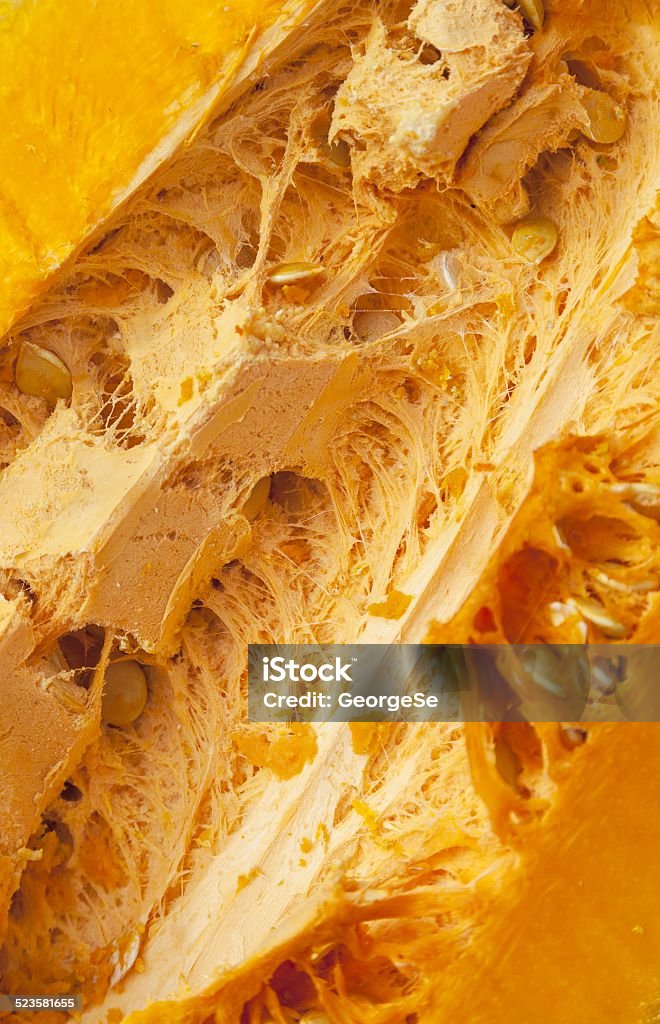 Detail of inside a ripe pumpkin Agriculture Stock Photo