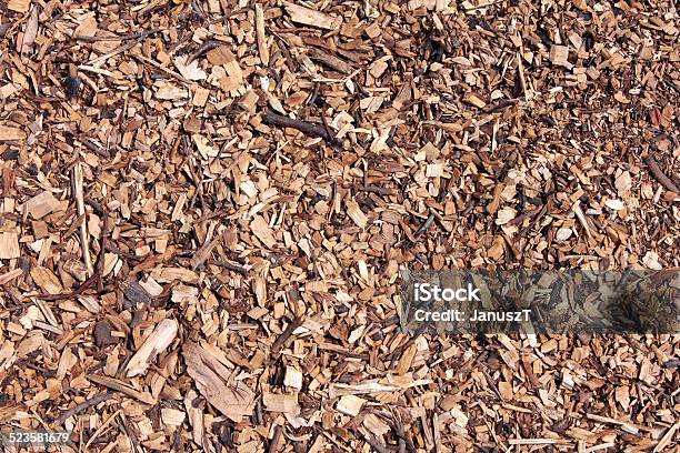 Bark Stock Photo - Download Image Now - Backgrounds, Coniferous Tree, Flower