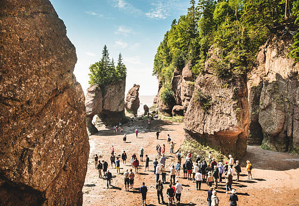 hopewell rocks hopewell rocks new brunswick canada photos stock pictures, royalty-free photos & images