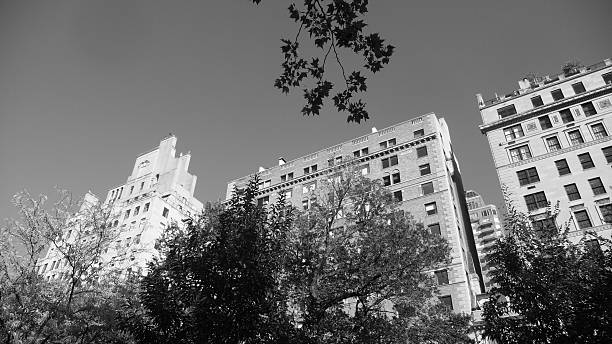 istock NYC trees and skyscrapers ~ B&W 523583881