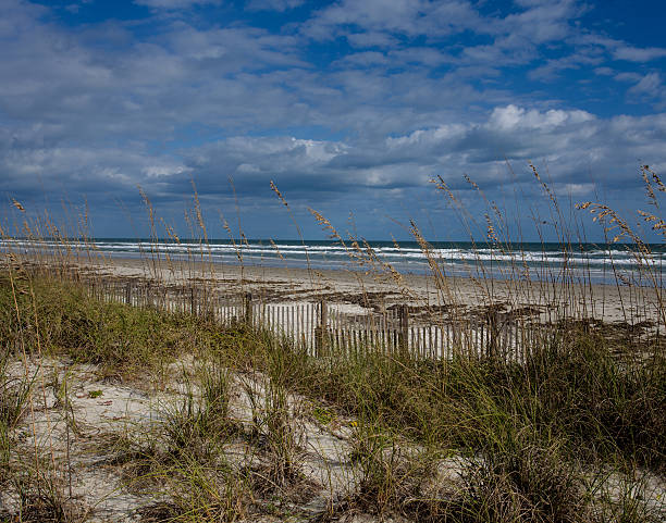 istock Sand Dunes Along the Florida Coast 523584039