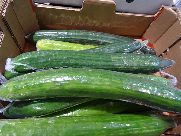Cardboard-box of fresh organic green cucumbers, shrink-wrapped, supermarket / fruit shop Photo showing a group of large, fresh organic green cucumbers (Latin name: Cucumis sativus) in a supermarket / fruit shop, stacked in a cardboard box and shrink wrapped in clear plastic (to reduce moisture loss and keep the vegetable clean), and being offered for sale - 'serve yourself'. vacuum packed stock pictures, royalty-free photos & images