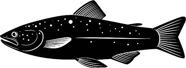 Vector illustration of trout vector