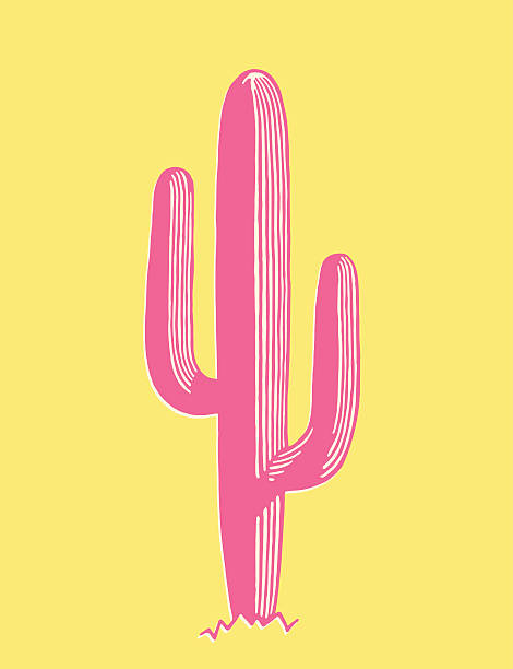 saguaro-kandelaberkaktus - kaktus stock-grafiken, -clipart, -cartoons und -symbole