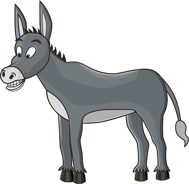 donkey image of isolated standing funny grey donkey mexican mule stock illustrations