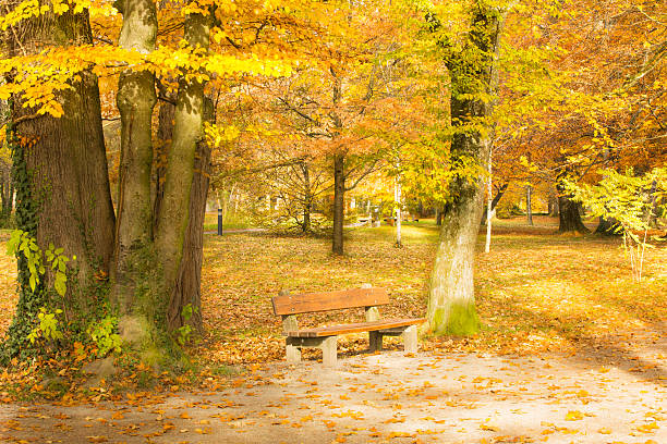 istock Colorful Autumn/ Farbenfroher Herbst 523598391