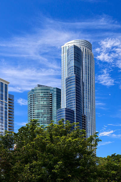 istock Skyscrapers in Downtown Chicago 523599451