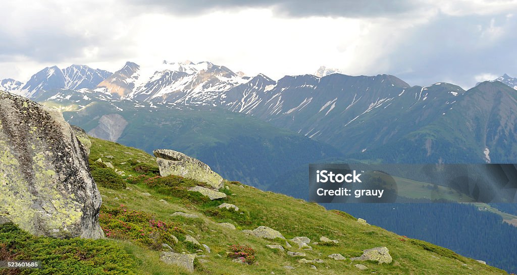 Fiescheralp Plateau Fiescheralp Plateau - Canton of Valais - Switzerland Aletsch Glacier Stock Photo