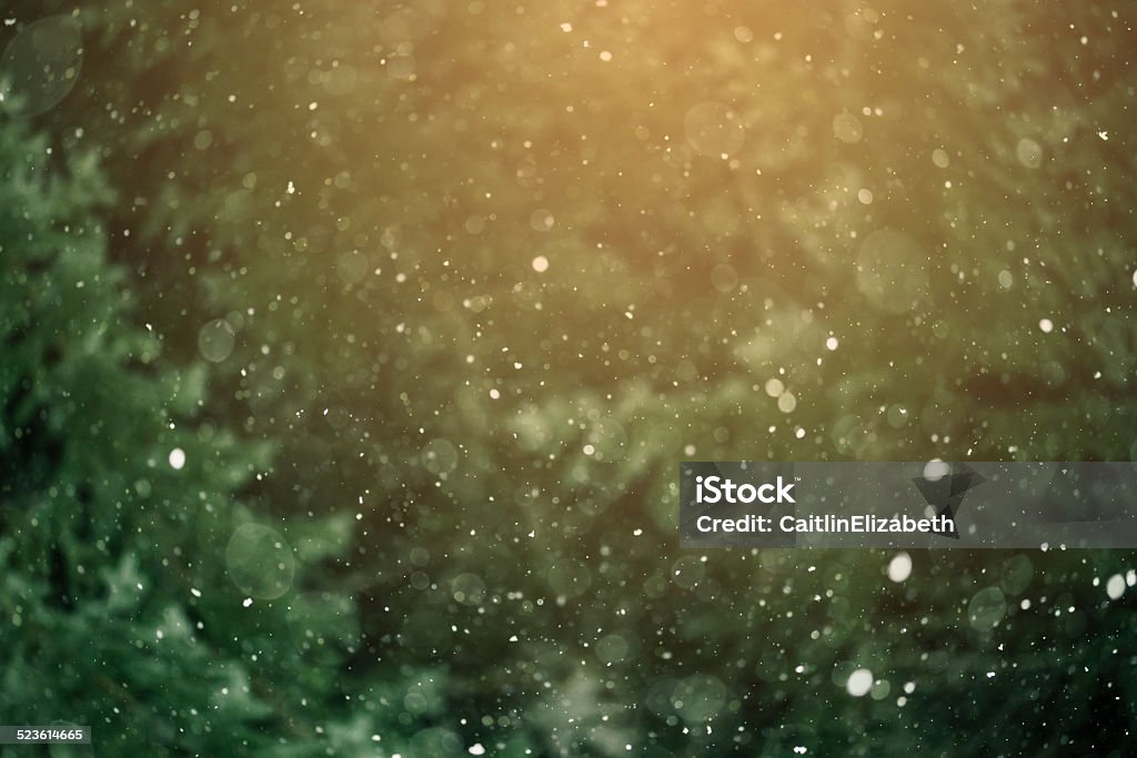 Winter Snowfall Selective focus image of snow falling against the backdrop of the forest.  Christmas Stock Photo