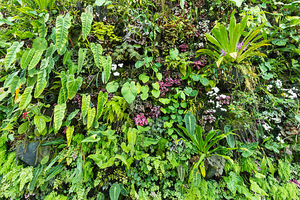 istock Background of botanical in nature 523615165