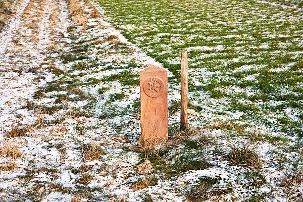 acres with snow in winter in beautiful light and structure