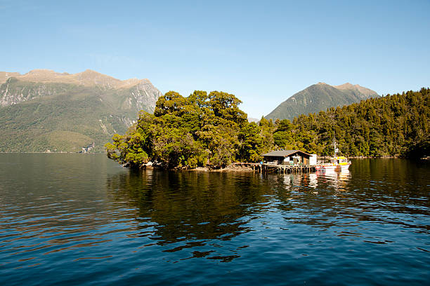 istock Doubtful Sound - New Zealand 523616203