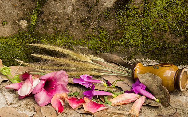 istock Still Life fade flower 523616851