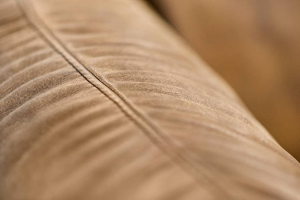 sofá inacabadas textura de couro com costura castanho - seam macro rough striped imagens e fotografias de stock
