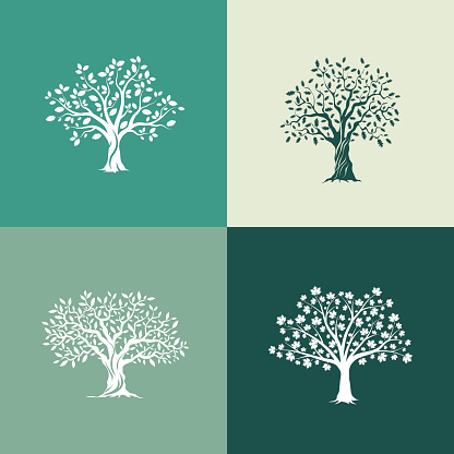 Beautiful oak, olive and maple trees silhouette set on green background. Modern isolated vector sign. 