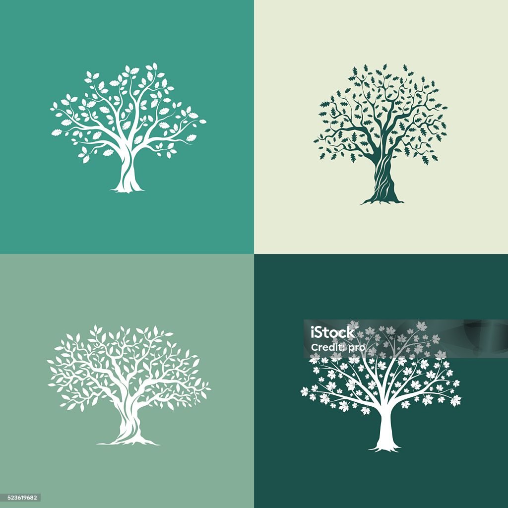 trees silhouette set Beautiful oak, olive and maple trees silhouette set on green background. Modern isolated vector sign.  Olive Tree stock vector