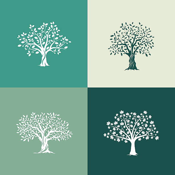 trees silhouette set Beautiful oak, olive and maple trees silhouette set on green background. Modern isolated vector sign.  maple stock illustrations