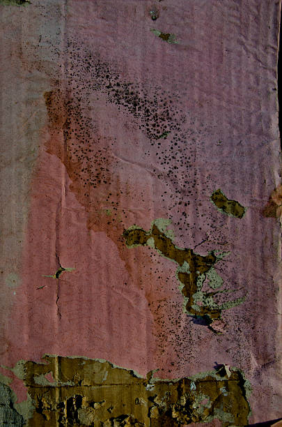 istock old paper cardboard  grunge abstract background 523619811