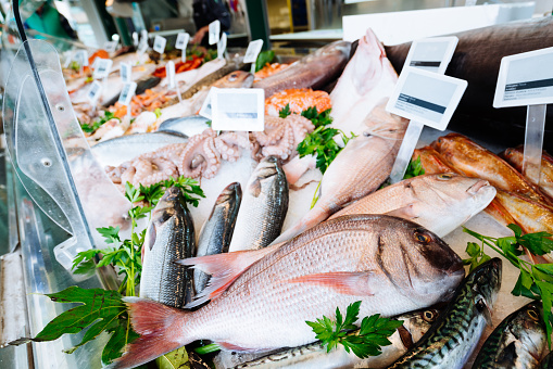 Fresh seafood on ice at the fish market