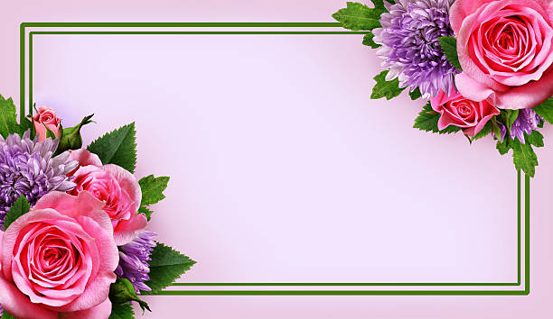istock Aster and rose flowers arrangement on a frame 523624006