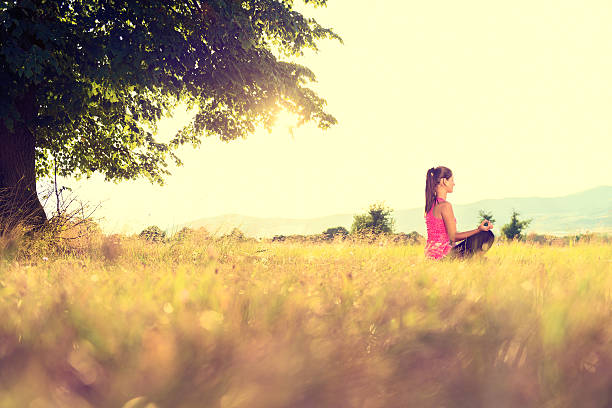 istock Young athletic woman practicing yoga on a meadow at sunset 523624572