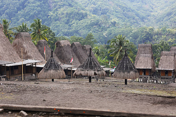 istock Indonesia: Gurusina Hill Tribe Village in Flores 523633507