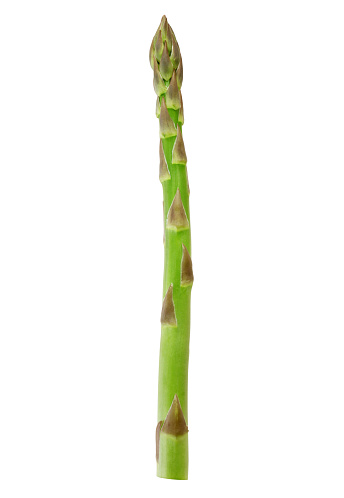 Single Asparagus isolated on white