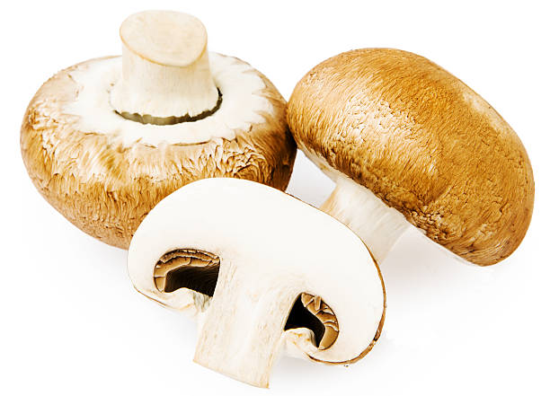 istock Brown champignon mushroom isolated on white background 523635125